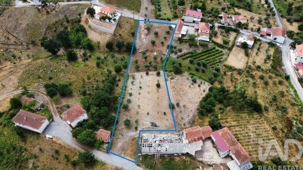 Terreno para Venda em Graça Foto 7