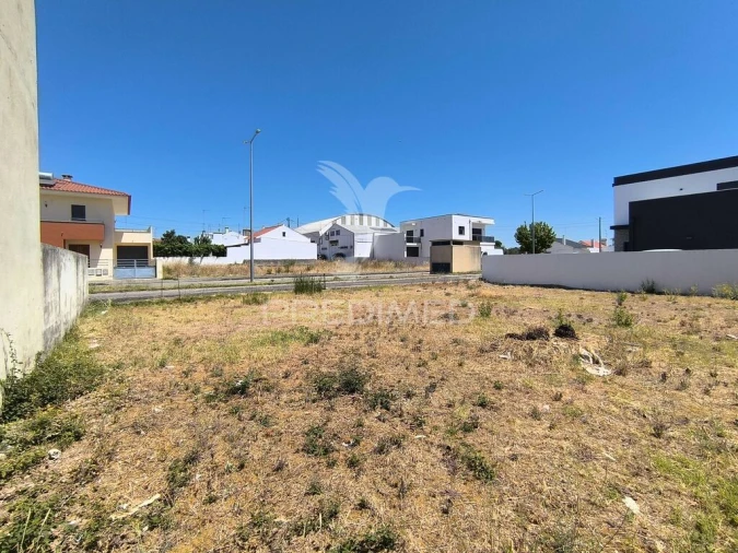 Terreno para Venda em Abrantes (São Vicente e São João) e Alferrarede Foto 5