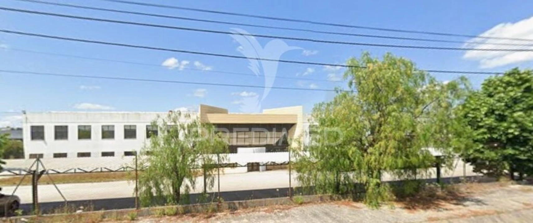 Armazém para Venda em Torres Novas (Santa Maria, Salvador e Santiago) Foto 6