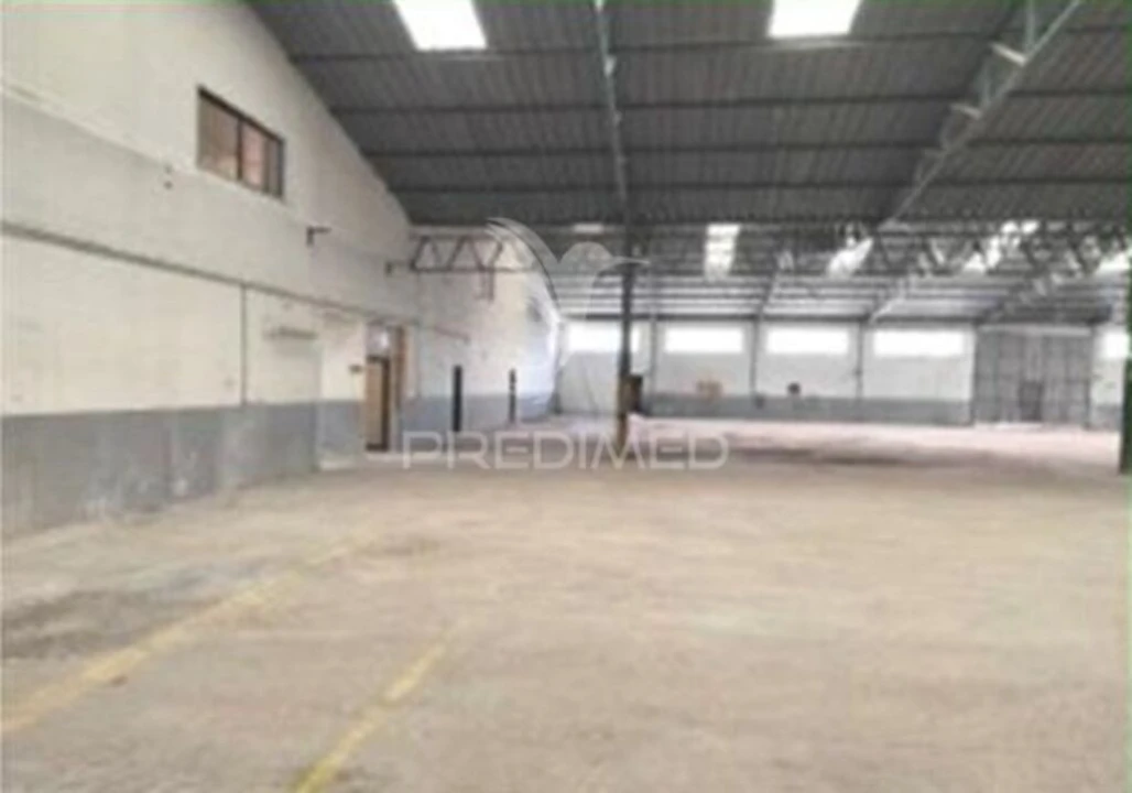 Armazém para Venda em Torres Novas (Santa Maria, Salvador e Santiago) Foto 15