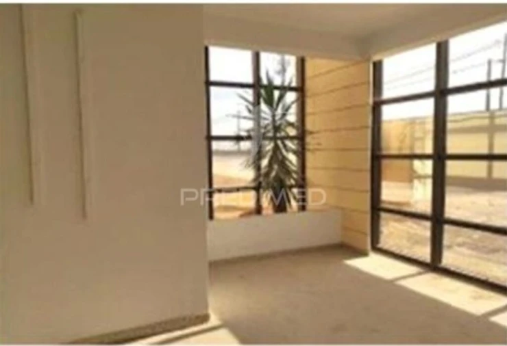 Armazém para Venda em Torres Novas (Santa Maria, Salvador e Santiago) Foto 12