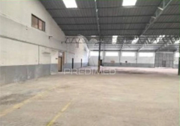 Armazém para Venda em Torres Novas (Santa Maria, Salvador e Santiago) Foto 15