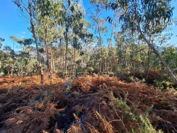 Terreno para Venda em Vade