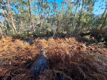 Terreno para Venda em Vade