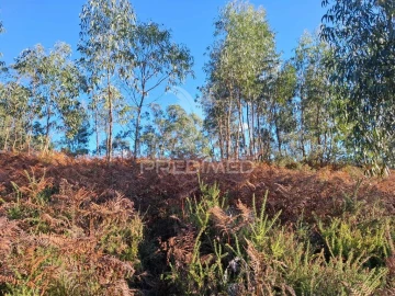 Terreno para Venda em Vade