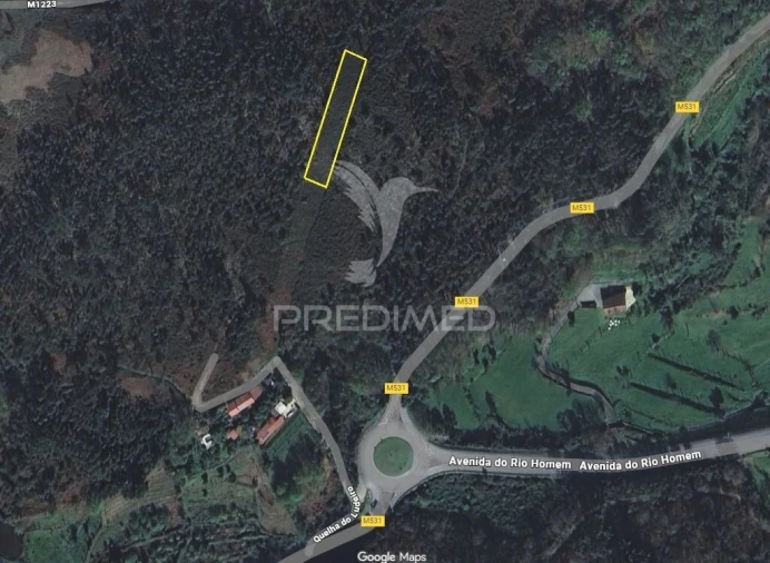 Terreno para Venda em Vade Foto 2