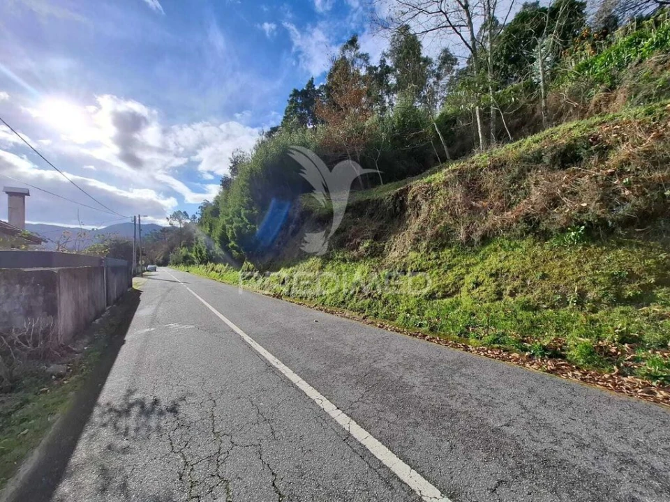 Terreno para Venda em Valdreu Foto 4