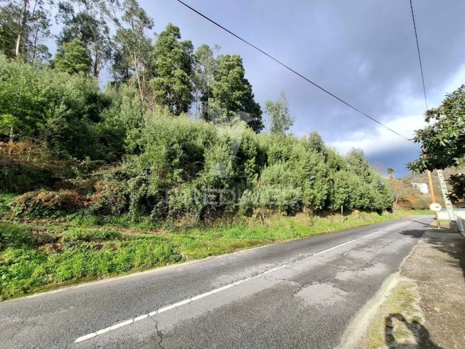 Terreno para Venda em Valdreu Foto 5