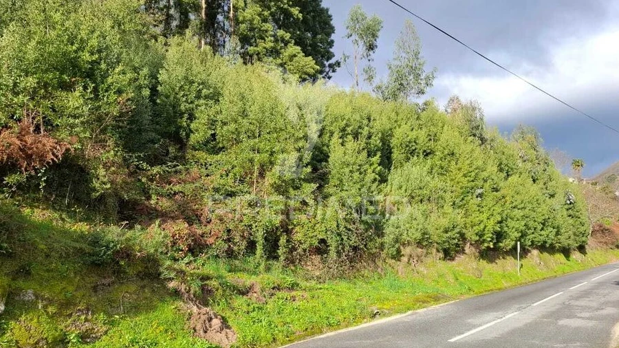 Terreno para Venda em Valdreu