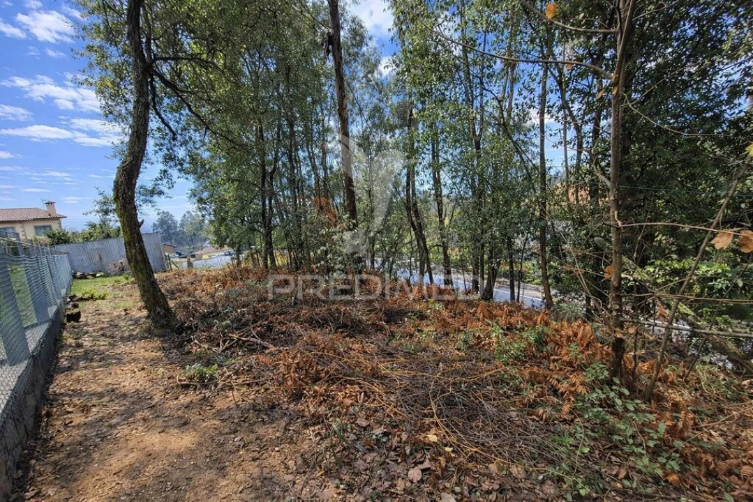 Terreno para Venda em Freiriz Foto 4