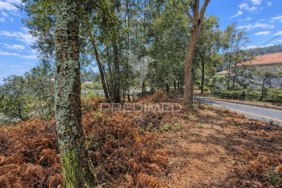 Terreno para Venda em Freiriz