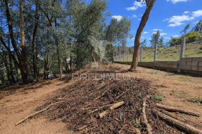 Terreno para Venda em Freiriz