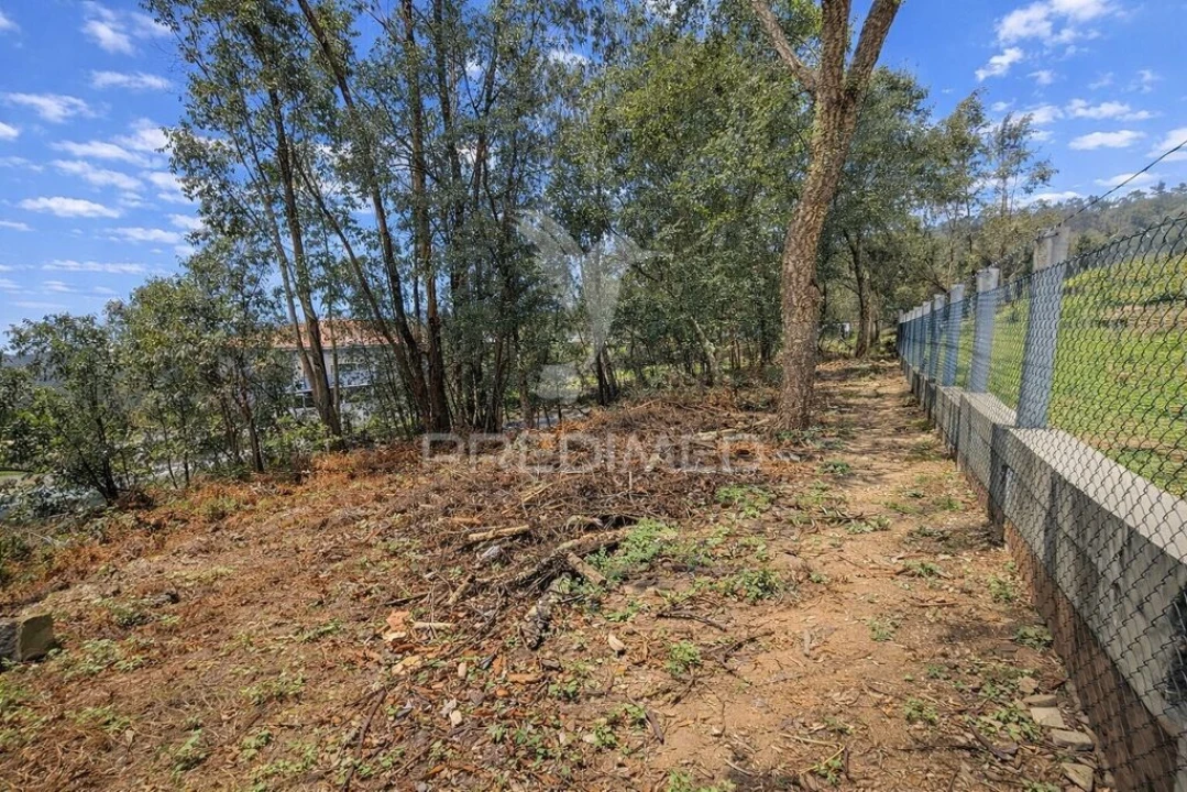 Terreno para Venda em Freiriz Foto 5