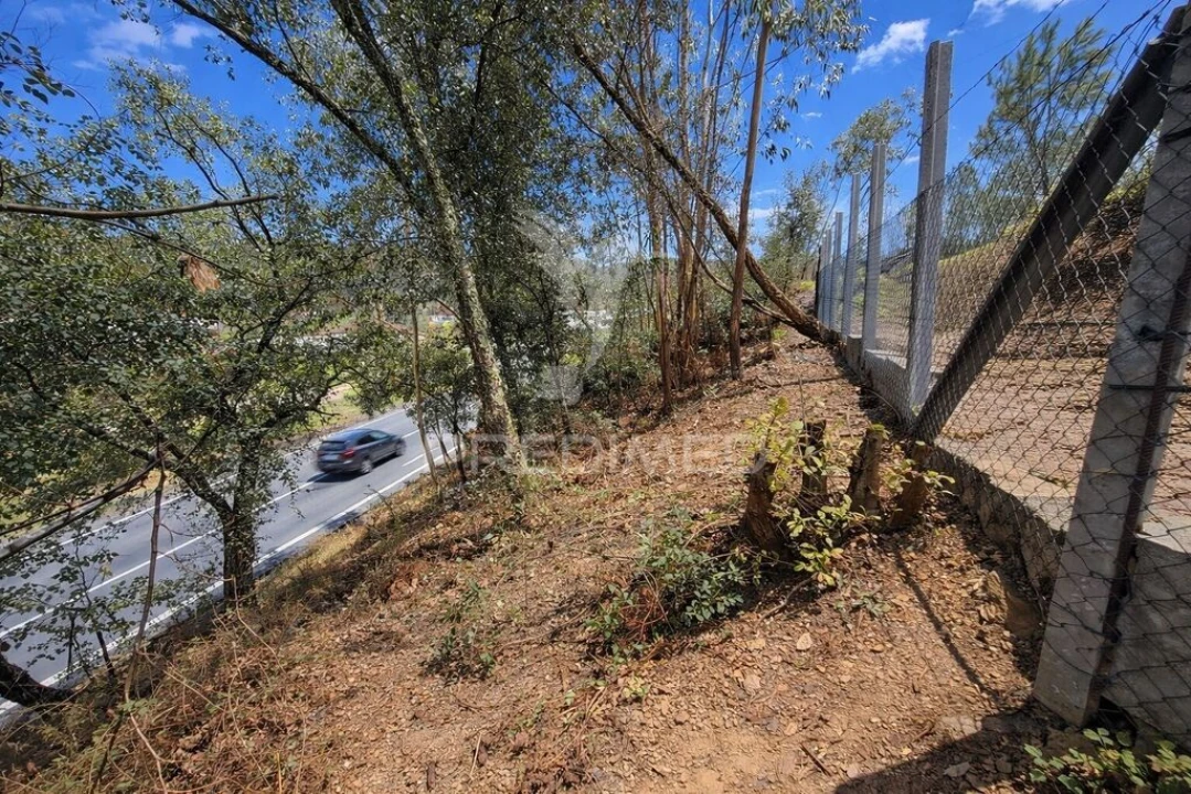 Terreno para Venda em Freiriz Foto 8
