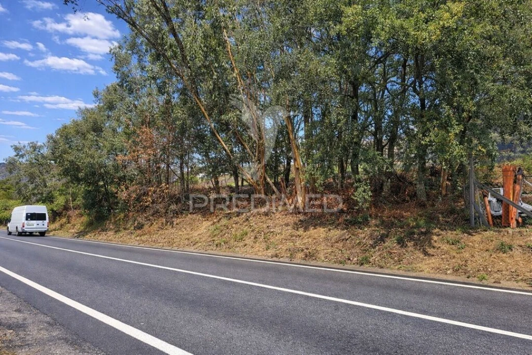 Terreno para Venda em Freiriz Foto 3