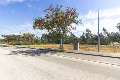 Terreno para Venda em Marinha Grande