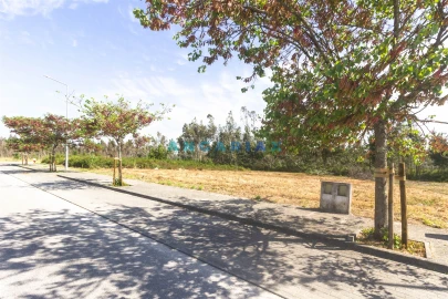 Terreno para Venda em Marinha Grande