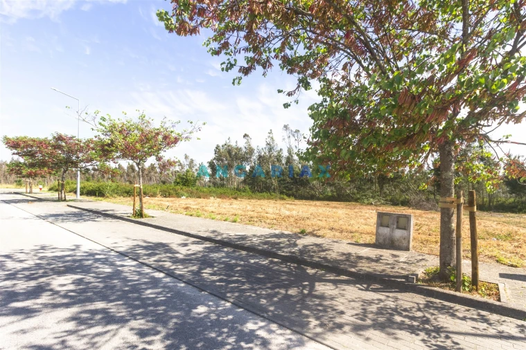 Terreno para Venda em Marinha Grande Foto 3