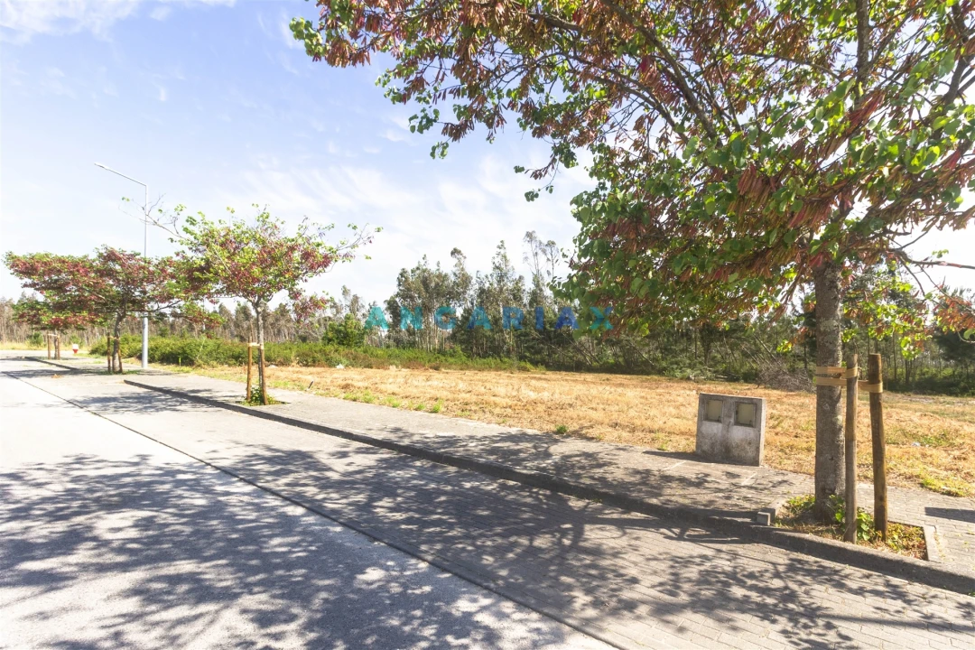 Terreno para Venda em Marinha Grande Foto 3