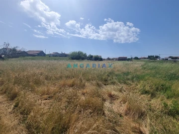 Terreno para Venda em Maceira