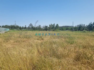 Terreno para Venda em Maceira