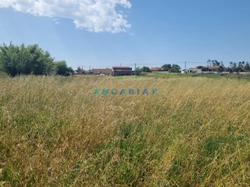 Terreno para Venda em Maceira