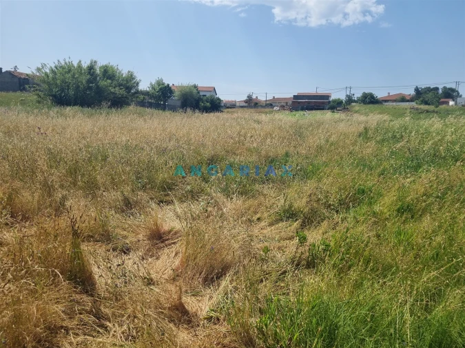 Terreno para Venda em Maceira Foto 5