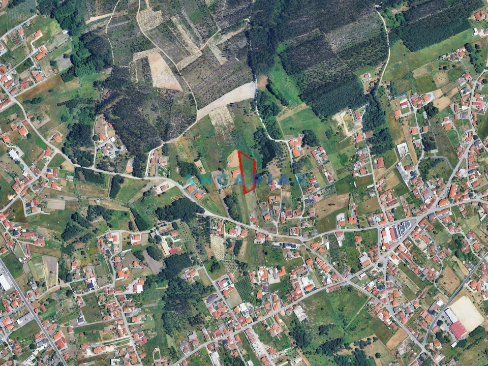 Terreno para Venda em Maceira Foto 15