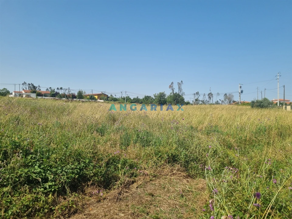 Terreno para Venda em Maceira Foto 10