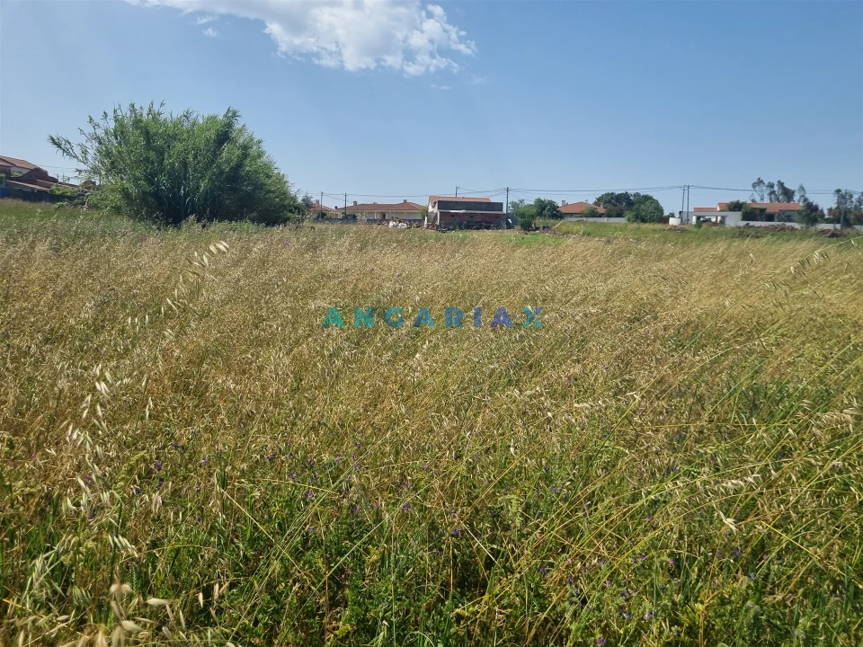 Terreno para Venda em Maceira Foto 12
