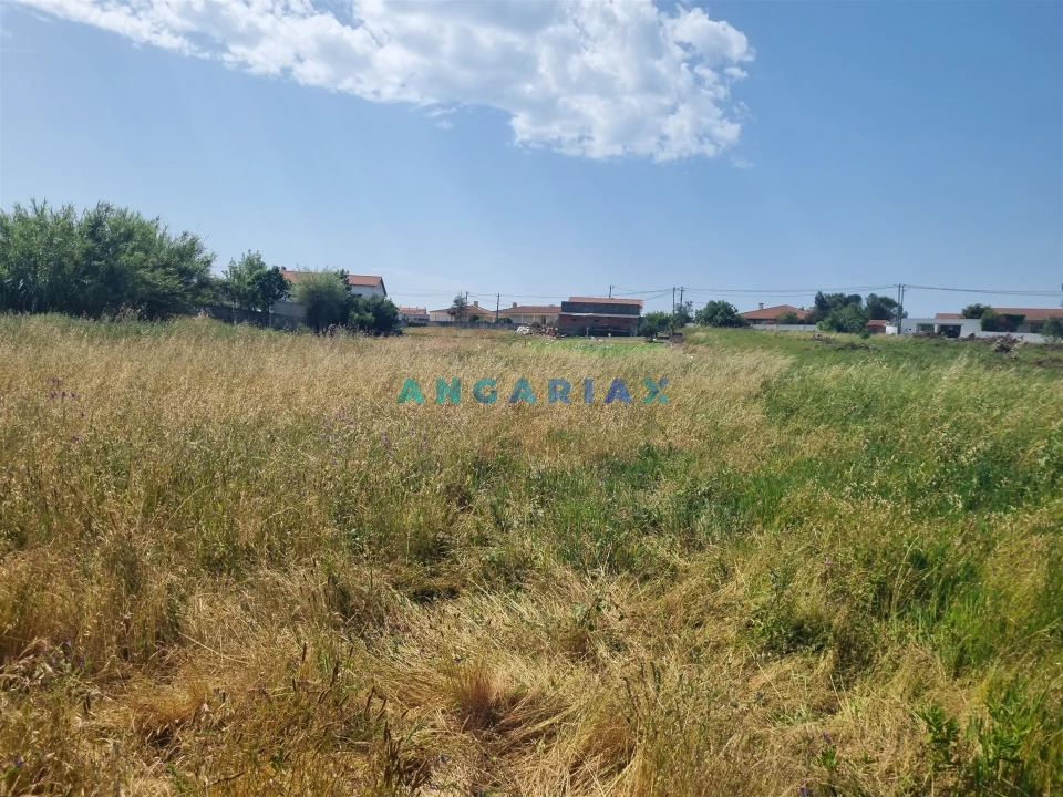 Terreno para Venda em Maceira Foto 4