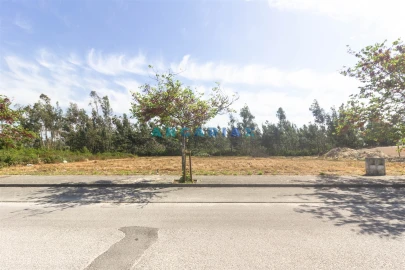 Terreno para Venda em Marinha Grande