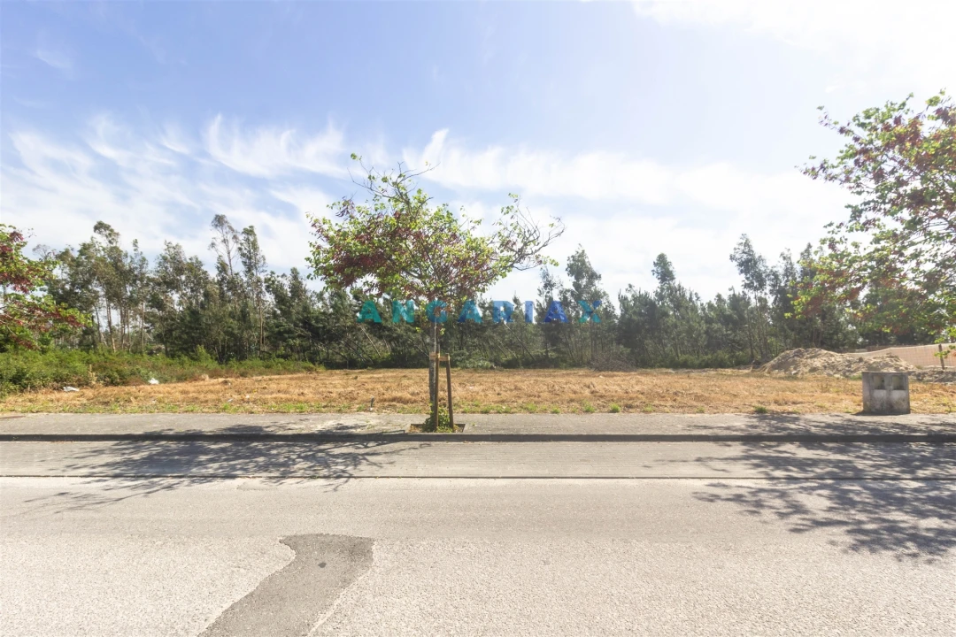 Terreno para Venda em Marinha Grande Foto 2