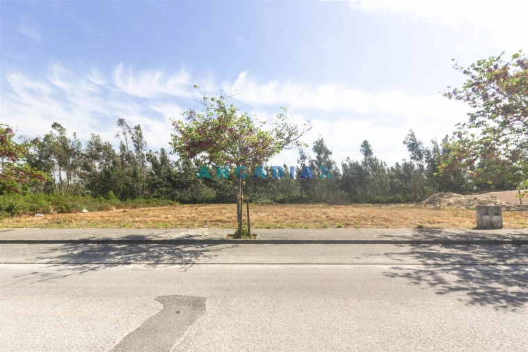 Terreno para Venda em Marinha Grande Foto 2