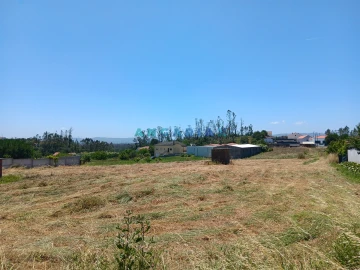 Terreno para Venda em Maceira