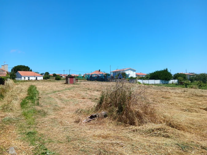 Terreno para Venda em Maceira Foto 2