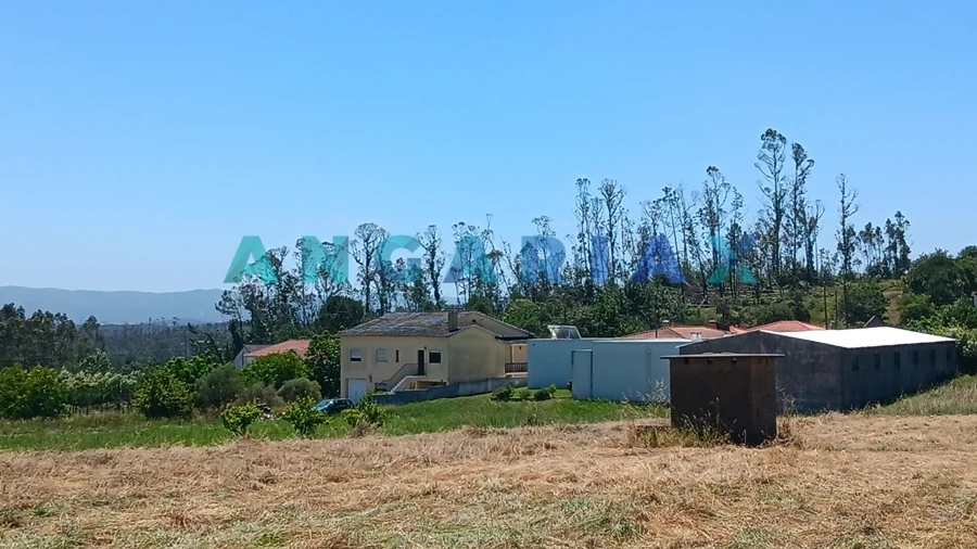 Terreno para Venda em Maceira