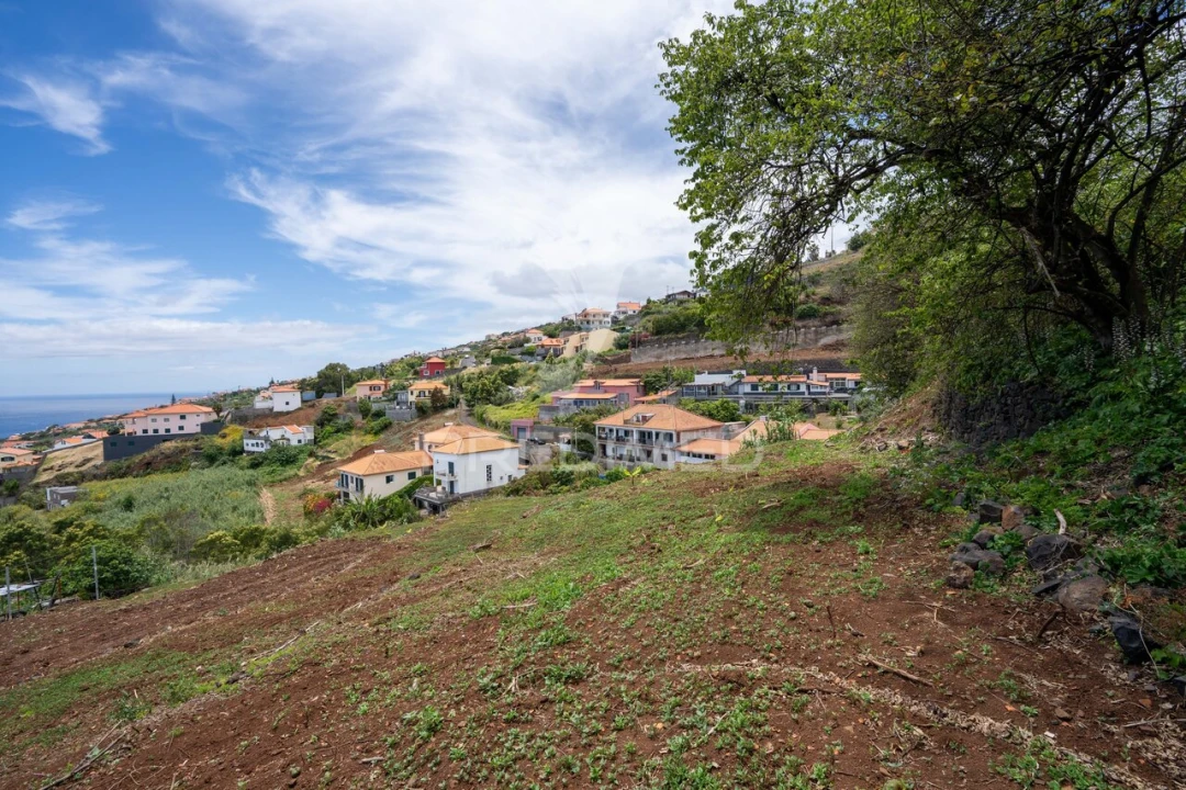 Terreno para Venda em Gaula Foto 4