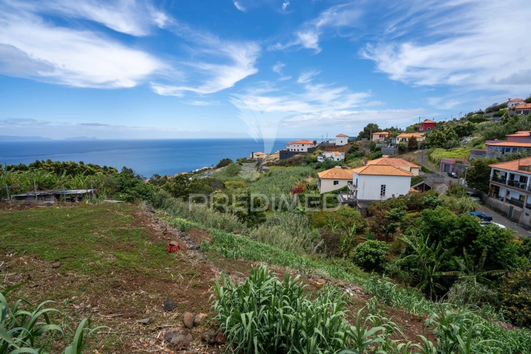 Terreno para Venda em Gaula Foto 10