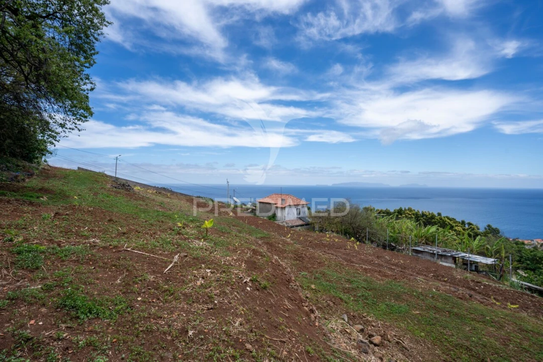 Terreno para Venda em Gaula Foto 11