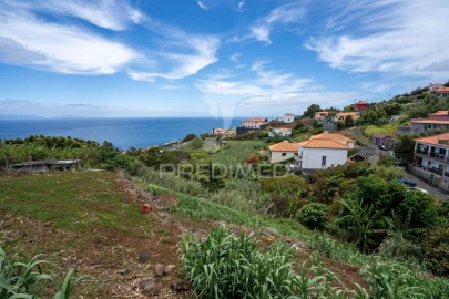 Terreno para Venda em Gaula