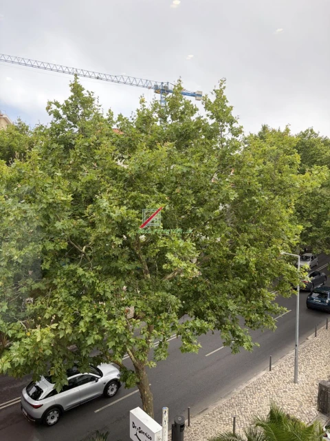 Loja para Arrendamento em Cascais e Estoril