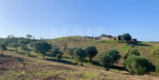 Terreno para Venda em Santiago do Cacém, Santa Cruz e São Bartolomeu da Serra