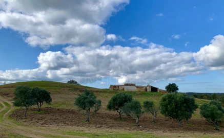 Terreno para Venda em Santiago do Cacém, Santa Cruz e São Bartolomeu da Serra