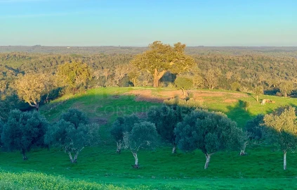 Terreno para Venda em Santiago do Cacém, Santa Cruz e São Bartolomeu da Serra