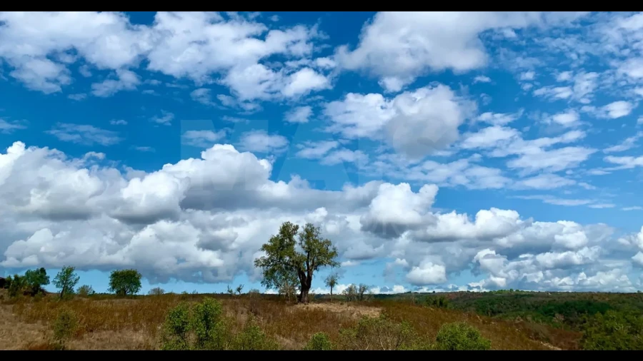 Terreno para Venda em Santiago do Cacém, Santa Cruz e São Bartolomeu da Serra