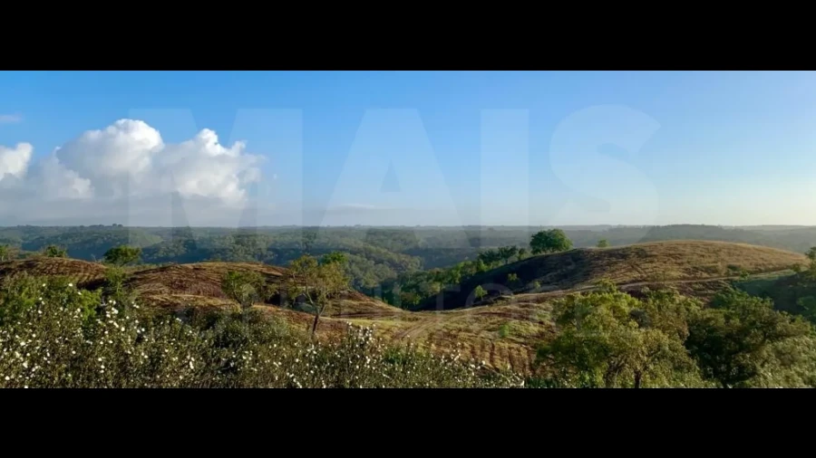 Terreno para Venda em Santiago do Cacém, Santa Cruz e São Bartolomeu da Serra