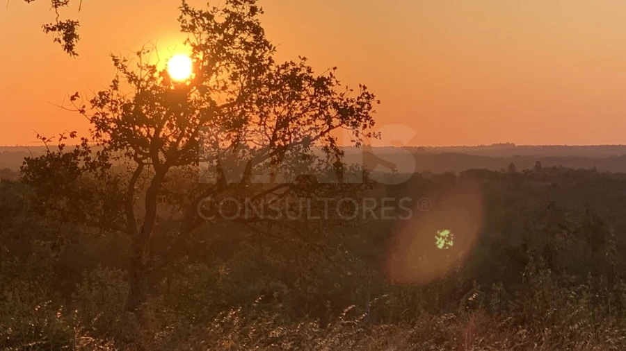 Terreno para Venda em Santiago do Cacém, Santa Cruz e São Bartolomeu da Serra