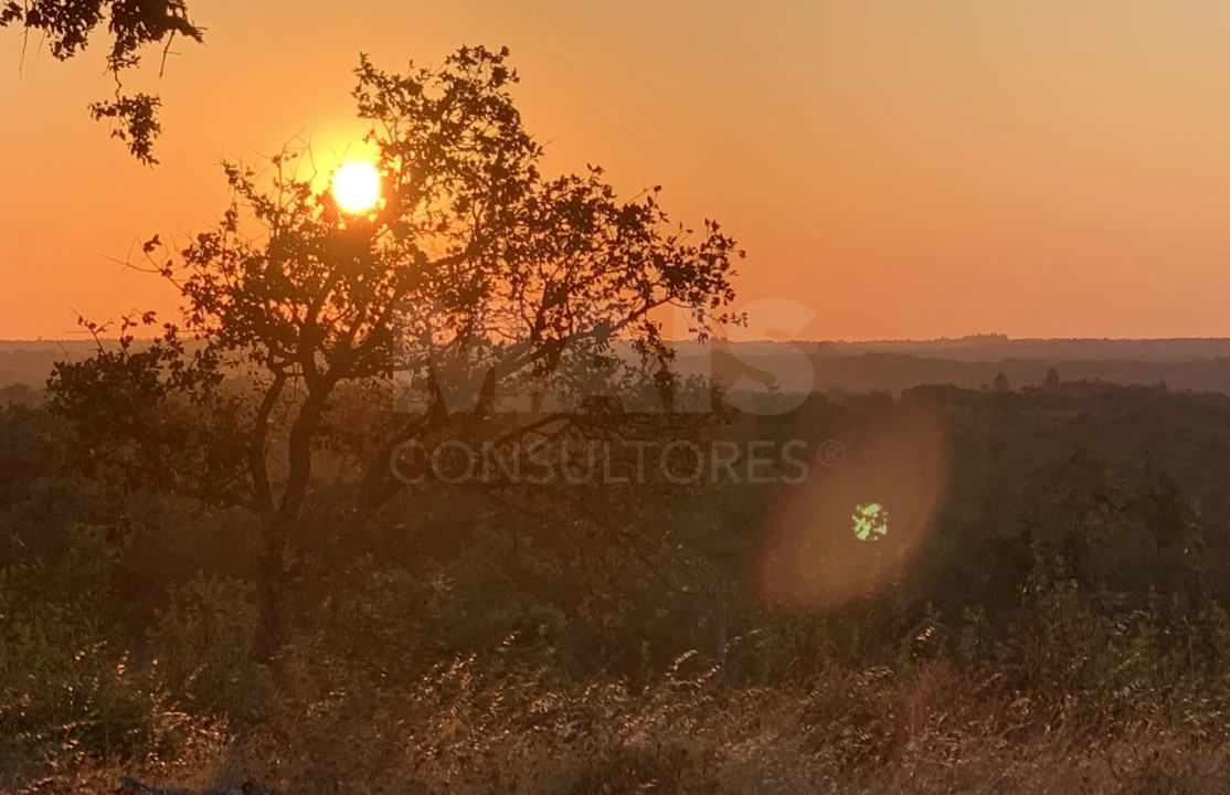 Terreno para Venda em Santiago do Cacém, Santa Cruz e São Bartolomeu da Serra Foto 1