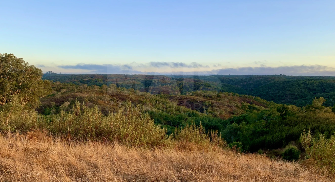 Terreno para Venda em Santiago do Cacém, Santa Cruz e São Bartolomeu da Serra Foto 5